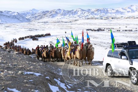 “Их говийн тэмээний баяр 2014 амжилттай зохион байгуулагдлаа