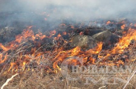 СУМДЫН ДАРГА НАРЫН АЖЛЫГ ТҮЙМЭРТЭЙ ХЭРХЭН ТЭМЦСЭНЭЭР ДҮГНЭНЭ