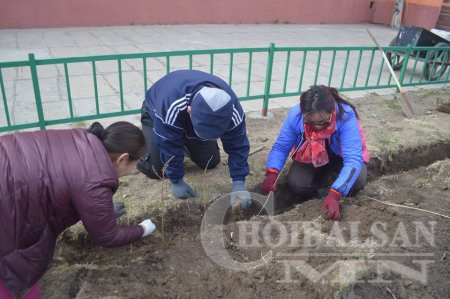 ДОРНОД АЙМГИЙН ХАЛХГОЛ СУМАНД БҮХ НИЙТЭЭР МОД ТАРЬЖ УРГУУЛАХ ХӨДӨЛГӨӨН ӨРНӨЖ БАЙНА