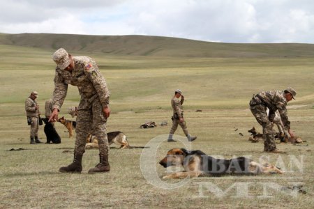 Монгол банхар хил хамгаална