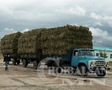 Малын тэжээл бэлтгэж буй компани НӨАТ-аас чөлөөлөгдөнө