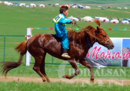 Морь унаач хүүхдэд шагналын 20 хувийг өгдөг болов