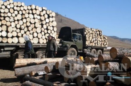 Их засаг хуулийг эргэн харъя “Мод сүйтгэсэн, түймэр дэгдээсэн хүн”-ийг цаазална