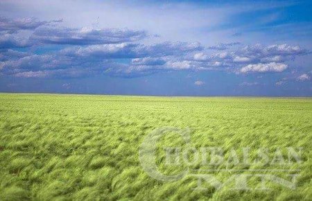 Дорнод аймаг , Халх гол сум , Мэнэнгийн тал /Фото/