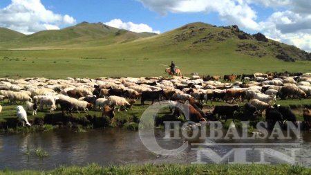 Хятадад мал маллахаар очсон Дорнодын иргэдийг зодож гэмтээжээ