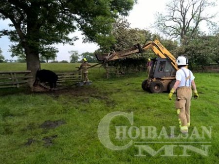 ЕР БУСЫН ГАЙХАЛТАЙ АВРАХ АЖИЛЛАГАА