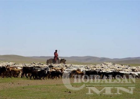 Улсын хэмжээнд малын тоо толгой анх удаа 73 саяд хүрчээ