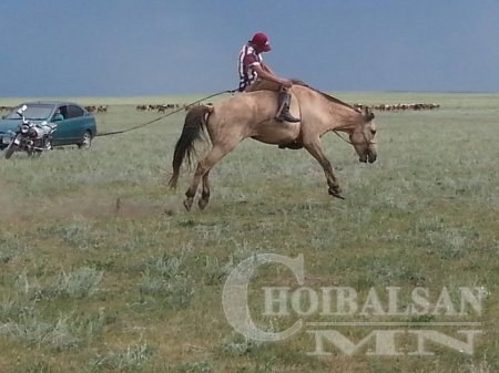 Чулуунхороот сумын Эрүүл мэндийн төв "Адуучин" тэмцээн зохион байгууллаа