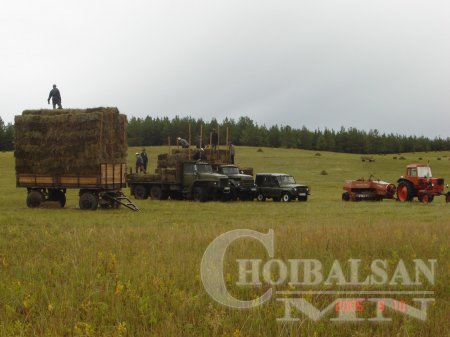 Дорнод аймагт хадлан бэлтгэл 36.1 хувьтай байна