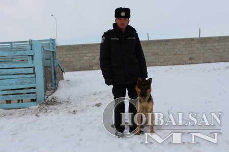 ГЭМТ ХЭРГИЙГ ИЛРҮҮЛЭХ АЖИЛД АЛБАНЫ МӨРЧ НОХОЙГ АШИГЛАЖ ЭХЭЛЛЭЭ.