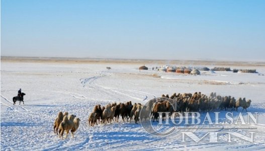 Нийгмийн даатгалын шимтгэлээ 400 мянган иргэн нөхөн төлүүлнэ