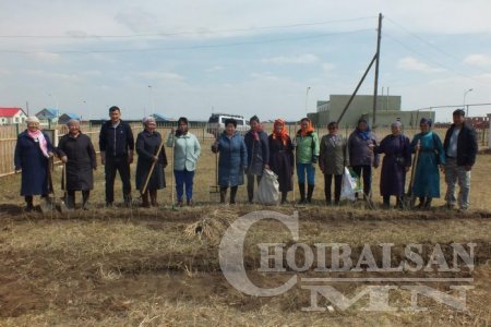 Дашбалбар сумын ахмадууд мод тарьжээ