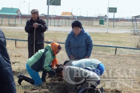 Дашбалбар сумын ахмадууд мод тарьжээ