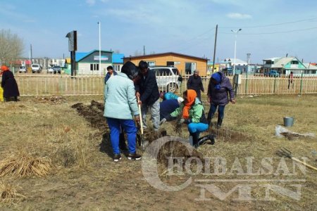 Дашбалбар сумын ахмадууд мод тарьжээ