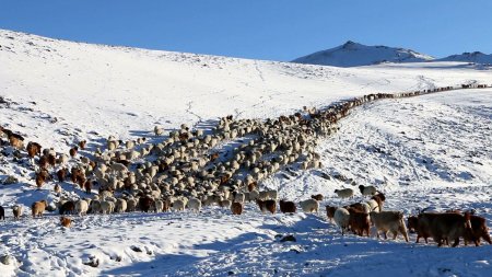 ӨВӨЛЖИЛТ ХҮНДЭРСЭН ХАЛХГОЛ СУМАНД ШУУРХАЙ БҮЛЭГ АЖИЛЛАЖ БАЙНА