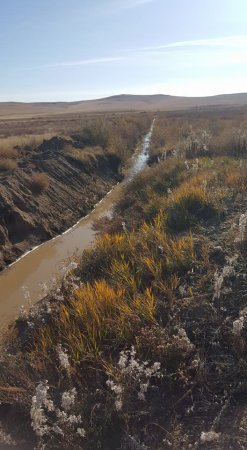 Баяндун сумын Түргэн багийн нутаг Дөч голд хууль бусаар алт олборлож байгаа Буга Сага ХХК-ийн сүйтгэсэн газар